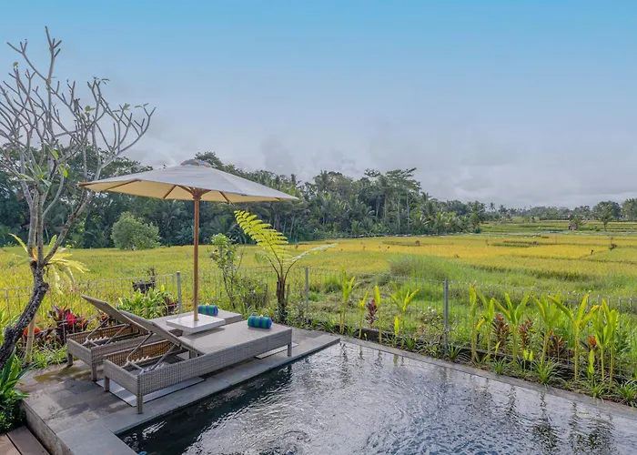 Villa Aranya *